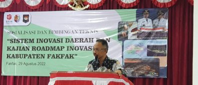 Kemendagri Pacu Kabupaten Fakfak Tingkatkan Inovasi