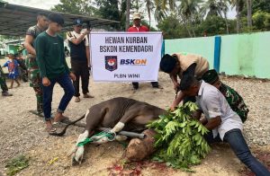 BSKDN Kemendagri Lakukan Pemotongan Hewan Kurban di Wilayah Perbatasan