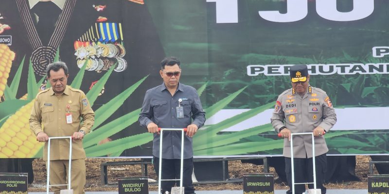 Kepala BSKDN Hadiri Penanaman Jagung Serentak 1 Juta Hektar di Subang Subang- Kepala Badan Strategi Kebijakan Dalam Negeri (BSKDN) Kementerian Dalam Negeri (Kemendagri) Yusharto Huntoyungo menghadiri kegiatan Penanaman Jagung Serentak 1 Juta Hektar di Desa Karang Mukti, Kecamatan Cipendeuy, Kabupaten Subang. Kegiatan ini merupakan bagian dari upaya mendukung program swasembada pangan nasional yang ditargetkan tercapai pada tahun 2025. Penanaman dilakukan di area perkebunan dan lahan lainnya, dengan target di Jawa Barat mencapai 312 hektar pada tahap awal ini. Kegiatan tersebut dihadiri oleh sejumlah pejabat tinggi lainnya, termasuk Menteri Pertanian, Kapolri, Wakil Direktur Utama Perum BULOG, Direktur Fasilitasi Pemanfaatan Dana Desa Kemendes PDTT, dan Gubernur Jawa Barat. Dalam sambutannya, Ketua Gugus Tugas Ketahanan Pangan Komisaris Jenderal Polisi Dedi Prasetyo, menyampaikan pentingnya kolaborasi berbagai pihak untuk mencapai target swasembada pangan. “Dengan niat baik, kerja keras, kolaborasi, sinergi dengan seluruh stakeholder terkait lainnya dan juga masyarakat, utamanya dengan petani, insyallah kita bisa mewujudkan semua (target swasembada pangan 2025)," ungkapnya di Subang pada Selasa, 21 Januari 2024. Lebih lanjut dia menjelaskan, penanaman jagung serentak ini merupakan langkah strategis untuk meningkatkan produksi pangan nasional. Target luas tanam sebesar 1 juta hektar diharapkan dapat menghasilkan sekitar 4 juta ton jagung dengan memanfaatkan bibit unggul yang memiliki produktivitas 8-10 ton per hektar. Penanaman jagung tidak hanya dilakukan di Subang tapi sejumlah daerah lainnya di Indonesia satu di antaranya wilayah Kalimantan Barat. Untuk itu, dia menegaskan, proses penanaman tidak hanya di lakukan di lahan produktif, tetapi juga melalui pola tumpang sari di perkebunan kelapa sawit. Sementara itu, rangkaian kegiatan panen telah direncanakan secara bertahap. Pada Februari 2025, panen perdana akan dilakukan di Kabupaten Kampar, Provinsi Riau, dengan lahan seluas 40 hektar. Selanjutnya, panen berikutnya akan dilakukan pada kuartal kedua di Kabupaten Bengkayang Provinsi Kalimantan Barat. Panen raya ketiga direncanakan pada Agustus 2025, dengan siklus tanam sampai panen yang akan terus berlanjut hingga Desember untuk memastikan keberlanjutan program. "Bapak Mentan, Bapak Kapolri sesuai dengan rapat terakhir bahwa penanaman jagung terakhir itu dilaksanakan di bulan September. Kenapa di bulan September? karena nanti insyallah akan dilaksanakan panen raya di bulan Desember sehingga siklus tanam jagung sampai dengan panen dalam 1 tahun itu bisa terbaca," ungkapnya. Hari ini, penanaman dilakukan di Subang pada lahan seluas 13 hektar dari total target 50 hektar. Langkah ini menjadi bagian penting dari upaya memperkuat ketahanan pangan nasional yang melibatkan seluruh komponen masyarakat, termasuk pemerintah daerah, aparat keamanan, dan petani. Dengan kolaborasi yang solid ini, target swasembada pangan tahun 2025 diyakini dapat tercapai.